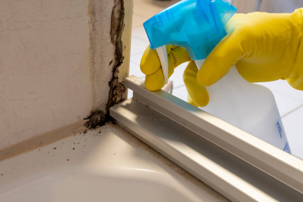 Best Mold Removal for HVAC Installations  in Mill Creek East, WA